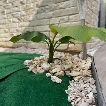 34 Indépendante Et Privée Avec Service De Navette Appartement *